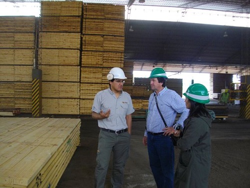 Visita a una empresa forestal misionera