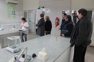 foto 3 - copia