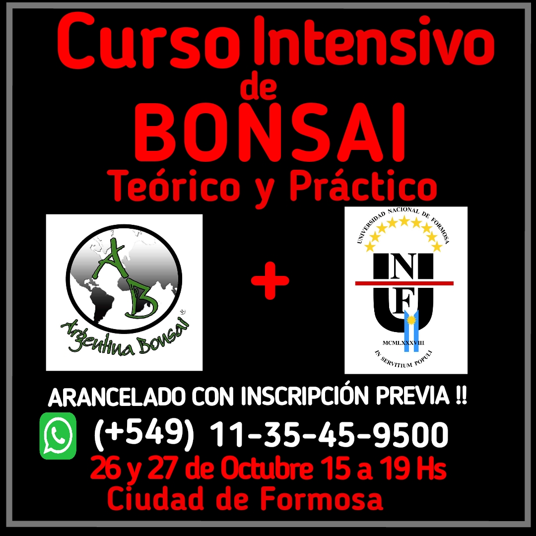 Fm 102 7 radio unaf en vivo