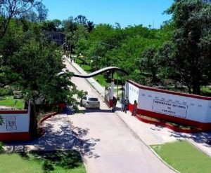 La UNaF celebra reconocimiento oficial y validez nacional para el Profesorado Universitario