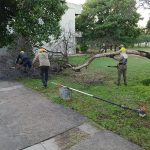 Continúan los trabajos de limpieza integral del campus de la UNaF