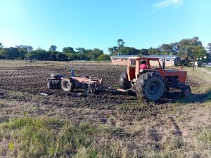 Se realizaron diversas tareas en la Granja de Adaptación e Innovación Tecnológica