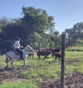 Salutación del rector Parmetler por el Día del Ingeniero Agrónomo y del Médico Veterinario